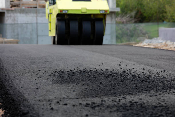 Best Local Driveway Pavers  in Fort Washakie, WY